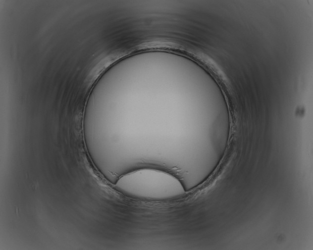 X0000094060937200710190929