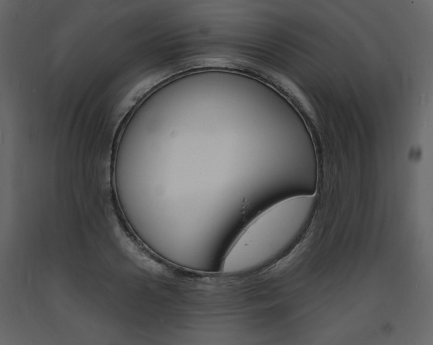 X0000094060938200710190929
