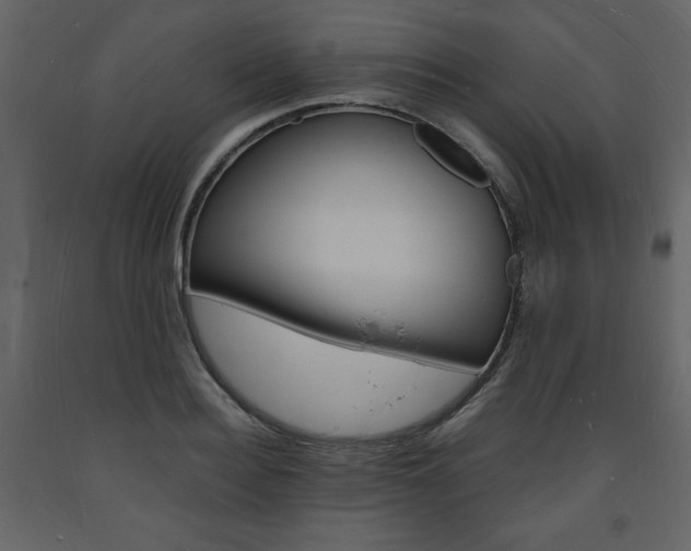 X0000094060940200710190929