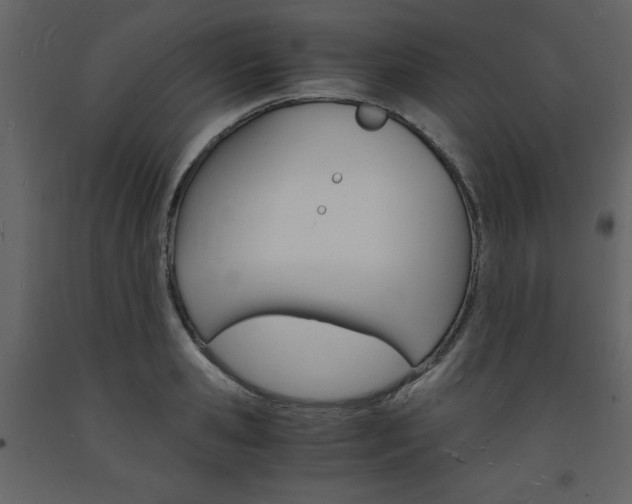 X0000094060941200710190929
