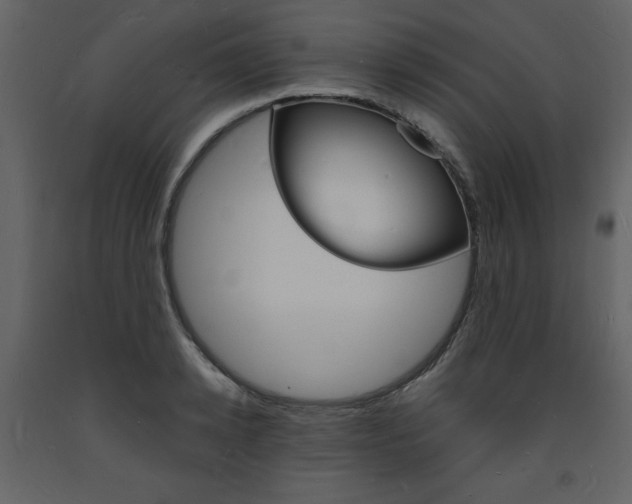 X0000094060942200710190929