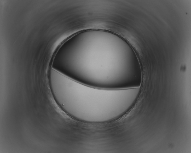 X0000094060944200710190929