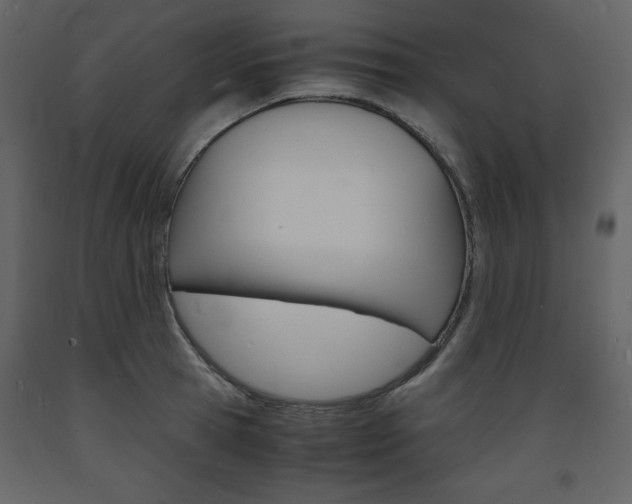 X0000094060945200710190929