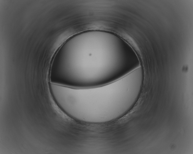 X0000094060946200710190929