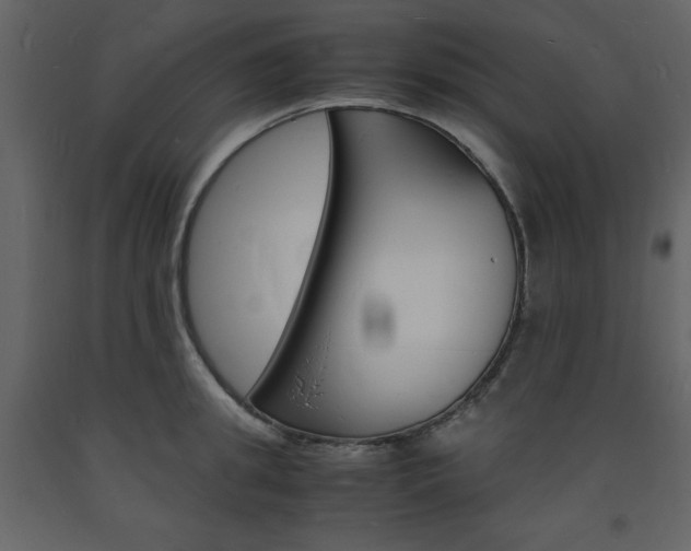 X0000094060949200710190930