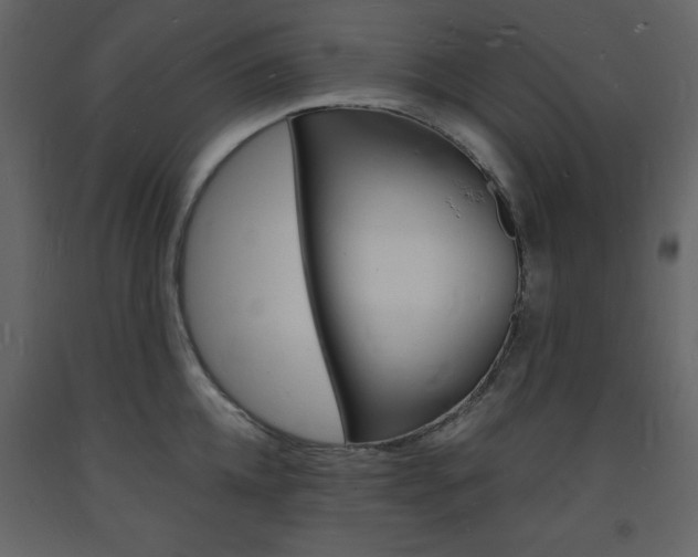 X0000094060952200710190930