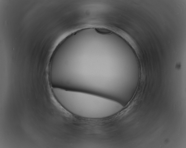 X0000094060958200710190930