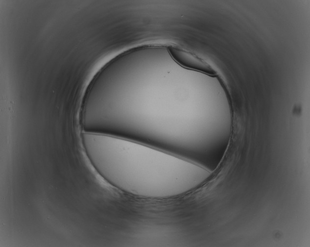 X0000094060959200710190930