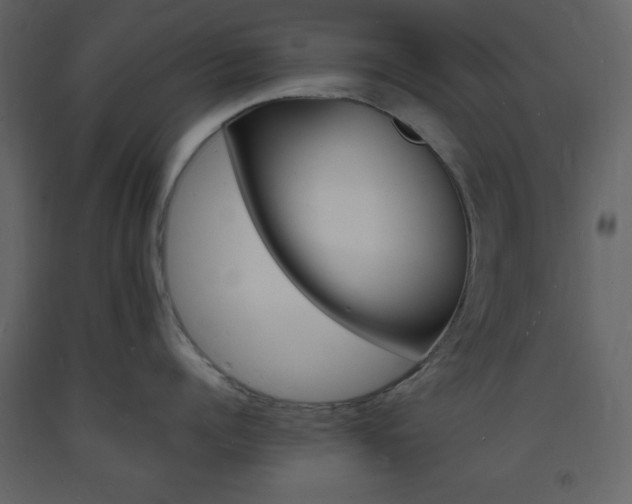 X0000094060960200710190930
