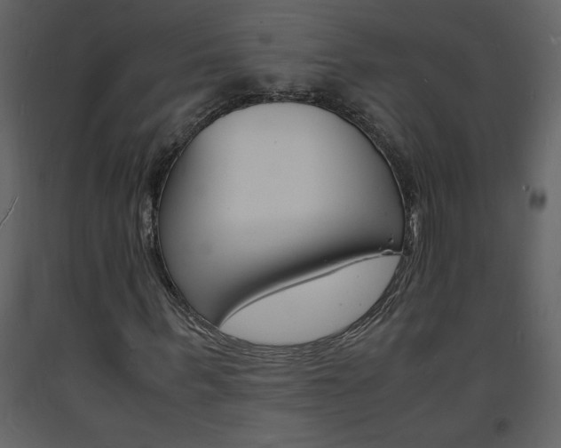 X0000094060963200710190929