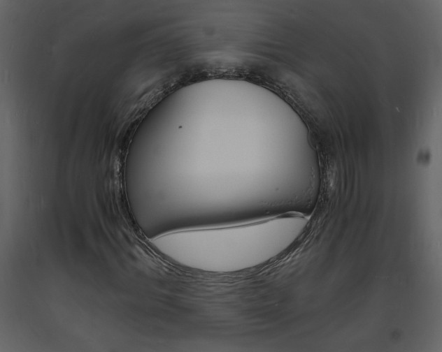 X0000094060964200710190929