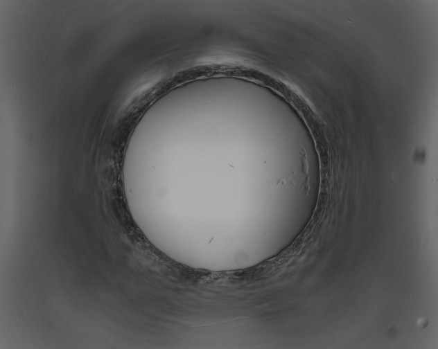 X0000094060967200710190929