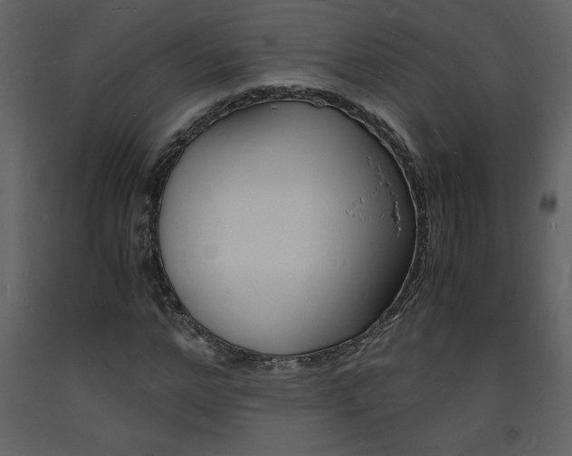 X0000094060968200710190929