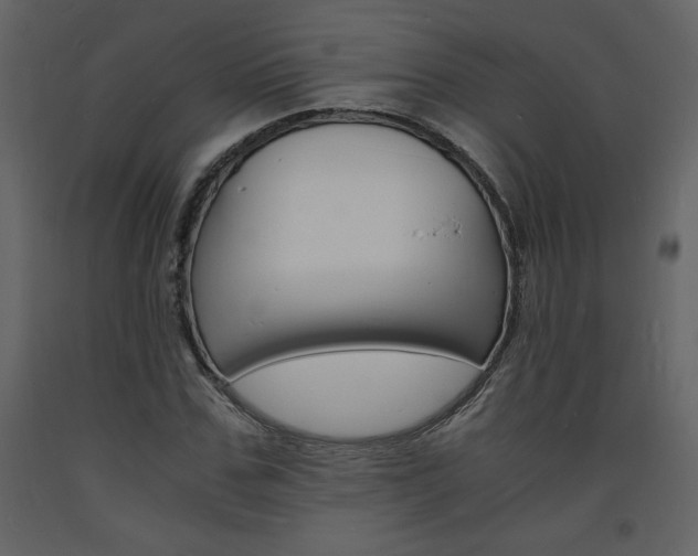 X0000094060971200710190929