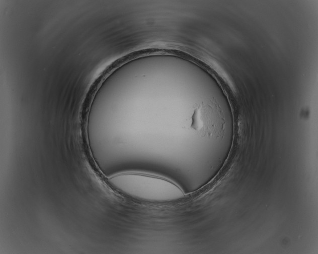 X0000094060972200710190929