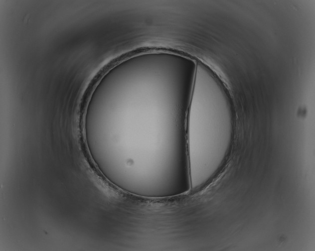 X0000094060976200710190929