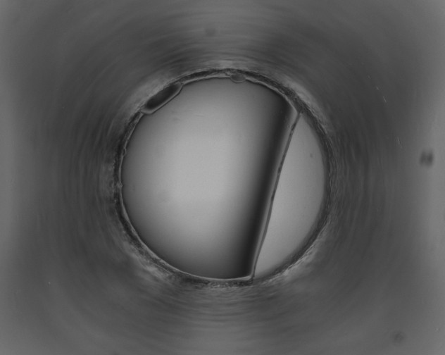 X0000094060977200710190929