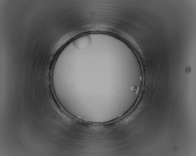 X0000094060978200710190928