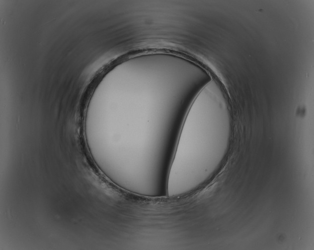 X0000094060979200710190928