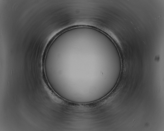 X0000094060980200710190928