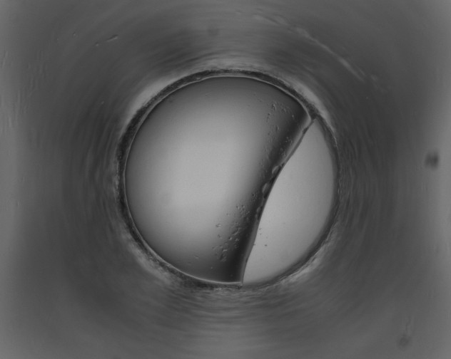X0000094060981200710190928