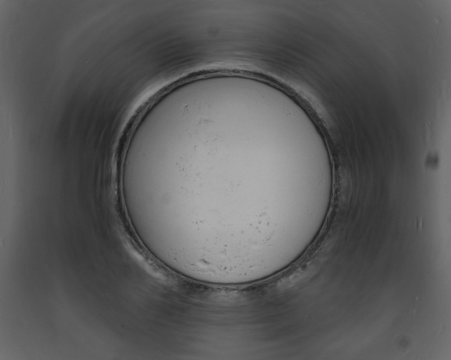 X0000094060982200710190928