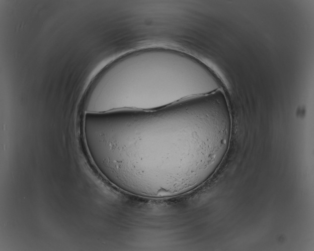 X0000094060983200710190928