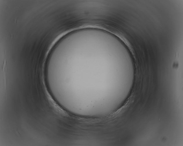 X0000094060984200710190928