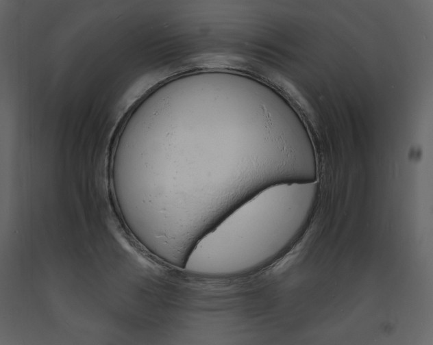 X0000094060986200710190928