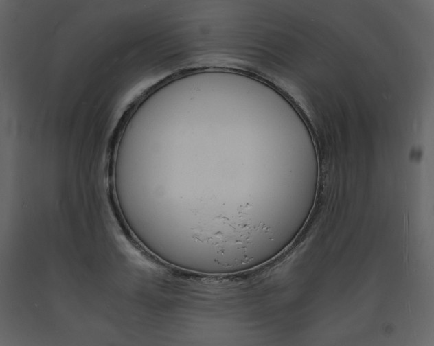 X0000094060987200710190928