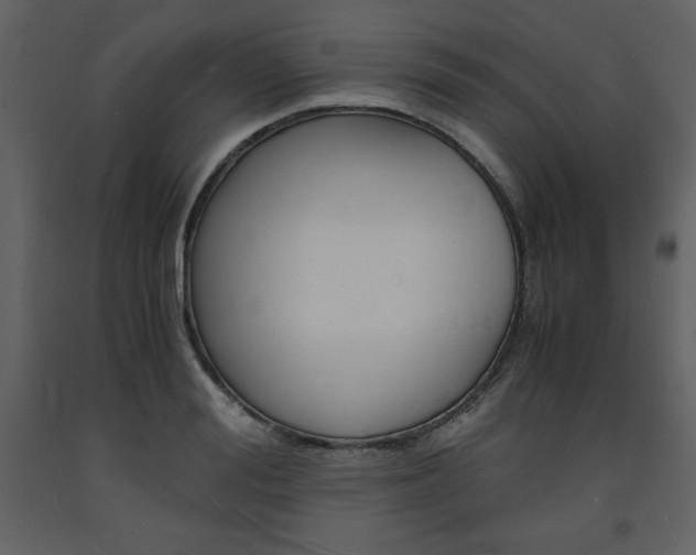 X0000094060988200710190928