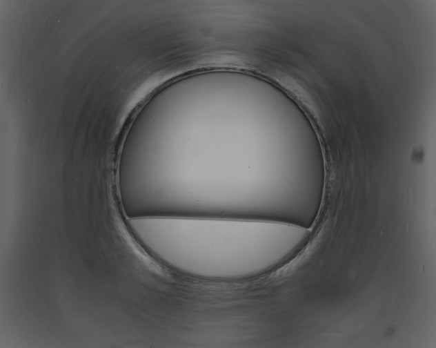 X0000094060989200710190928