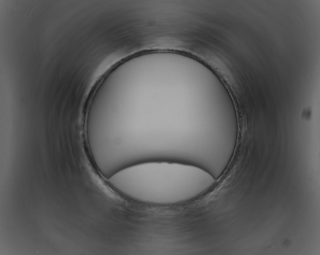 X0000094060990200710190928