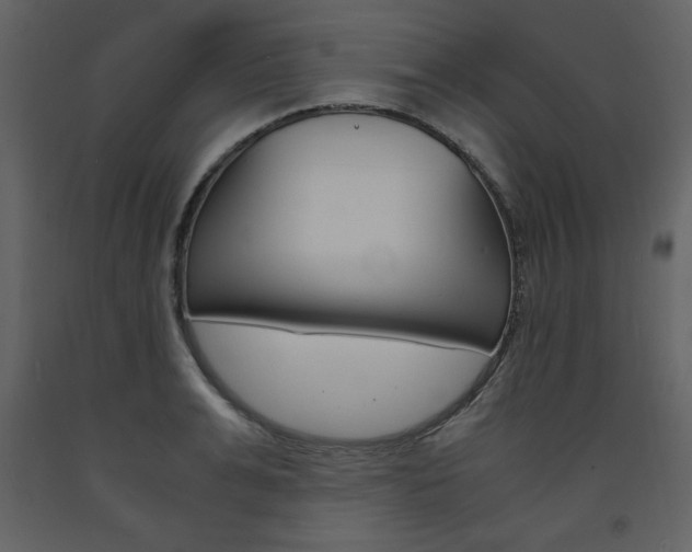 X0000094060991200710190928