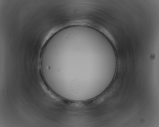 X0000094060994200710190928