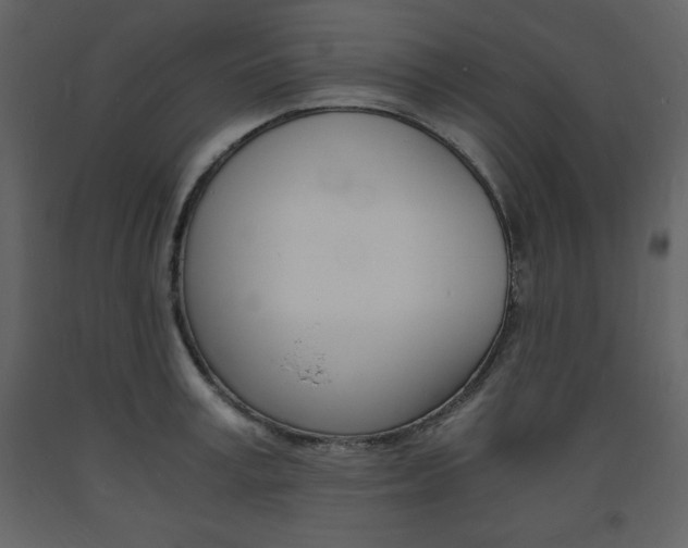 X0000094060995200710190928