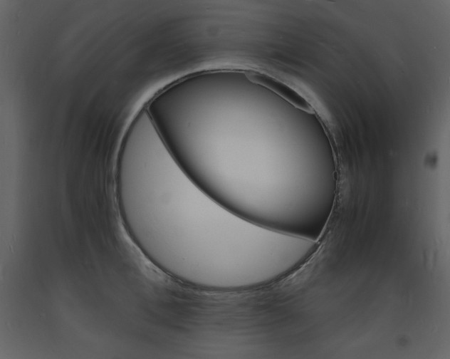 X0000094060996200710190928