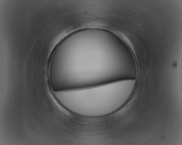 X0000094060997200710190928
