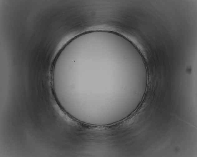 X0000094060998200710190928