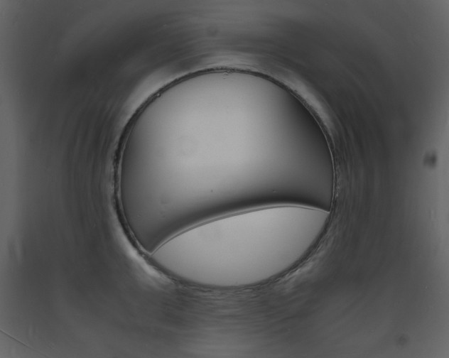 X0000094060999200710190928