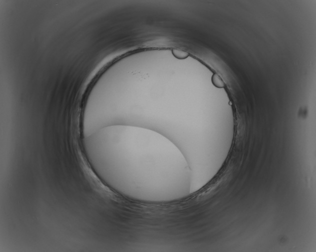 X0000094061000200710190928