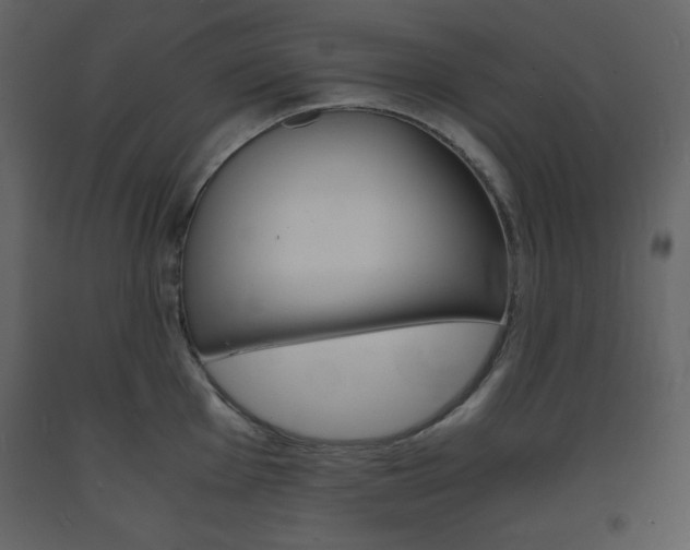 X0000094061001200710190928