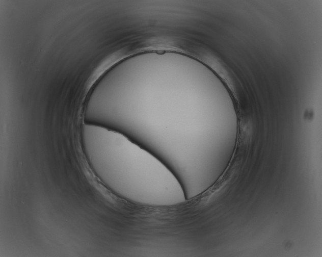 X0000094061002200710190928