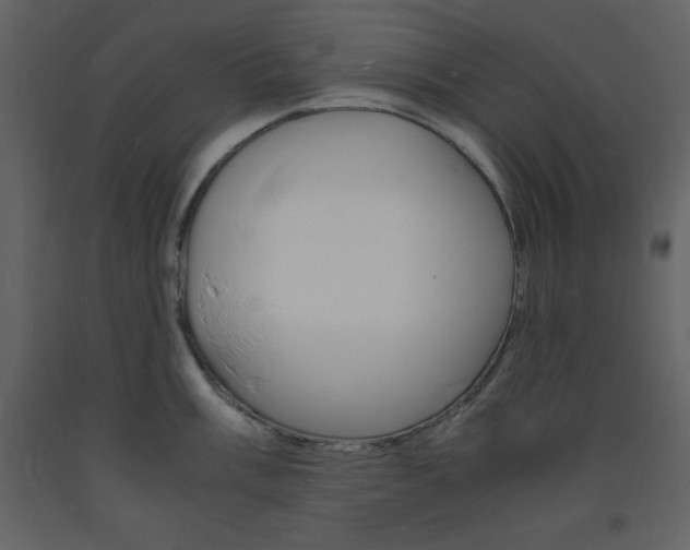 X0000094061003200710190928