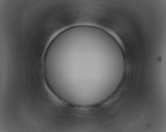 X0000094061004200710190928