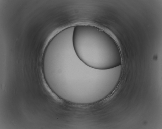 X0000094061005200710190928