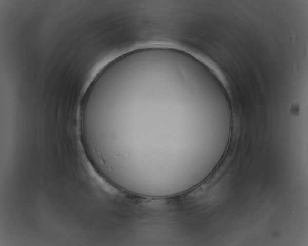 X0000094061006200710190928