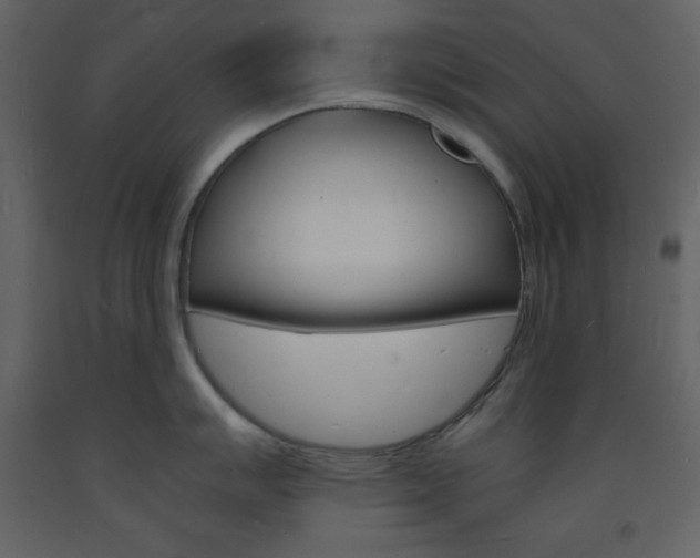 X0000094061007200710190928