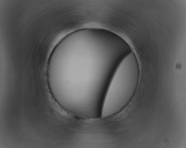 X0000094061008200710190928