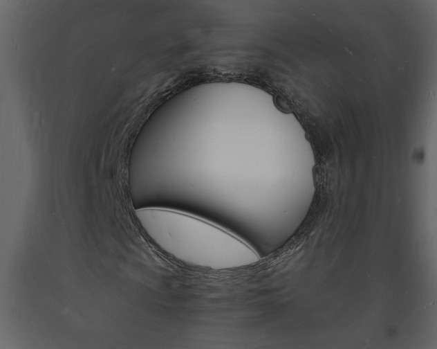 X0000094061009200710190927